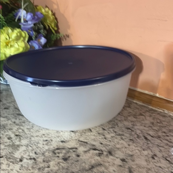 Blue and White Kitchen Storage Container - Picture 1 of 4